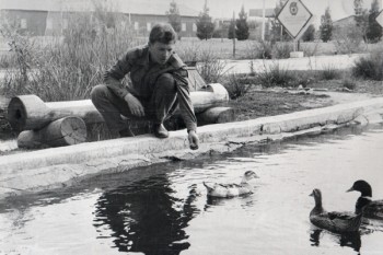 У третьому вимірі