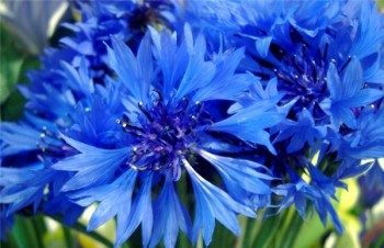 З днем народження!