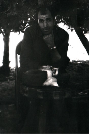 Замріяні гурмани