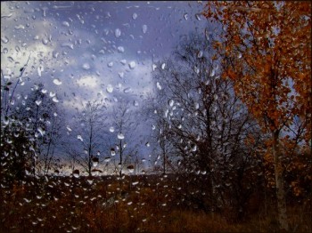 ЧОГО, ЗИМО, ХОЧЕШ?