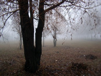 ПОХМУРИЙ ДЕНЬ