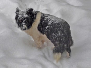 НОВОРІЧНА НІЧ