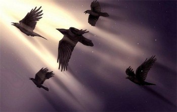 Передчуття снігів