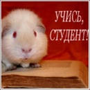 Веселі уроки