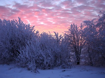 Вечір, котик ласкавий