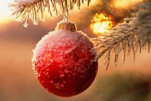 Поздоровлення з Новим роком від Івана Франка