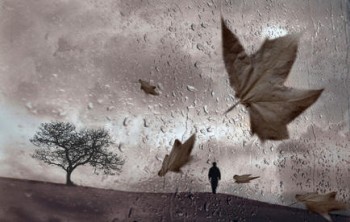 Зима у почестях дощу