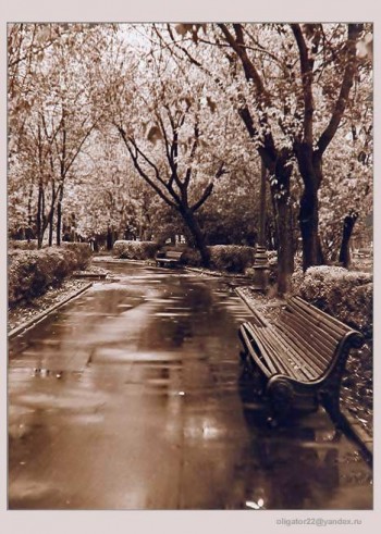 Дзеркала зими