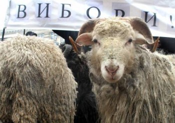 Обіцянки-цяцянки