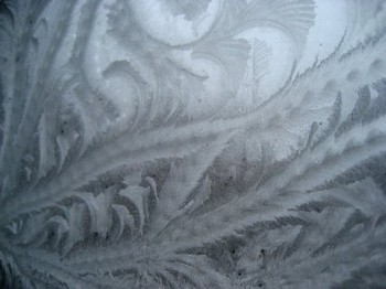 Льодяні троянди