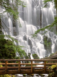 Перша картина