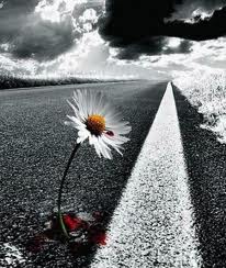 Нельзя отчаиваться