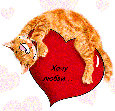 Валентинка від киці