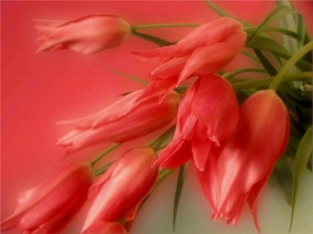 Вітання Олександру