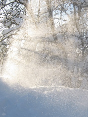Сонця сніговії