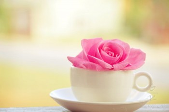 Чарівна мить