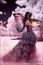 На крилах Шопена