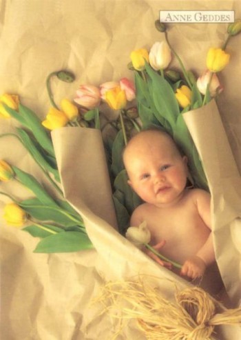 Імениннику!!!!!!!!!