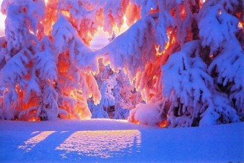 Чому душа моя співає