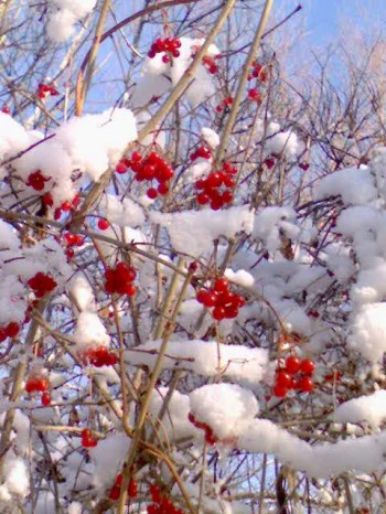 Красива неповторна мова