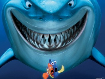 Рушим мифы о кровожадных акулах!