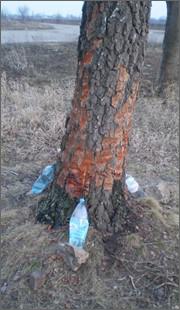 Спроба каяття