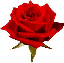 Восьме березня!!!