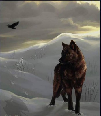 Я кидаю сьогодні кості.