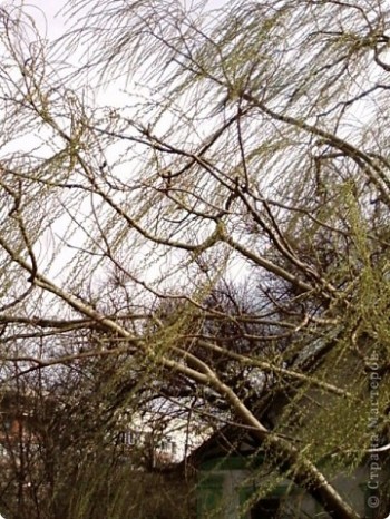 Вітряний ноктюрн