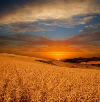 Ой, як хочеться мені...