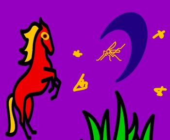 Кінь та Ніч