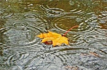 Прощання з літом