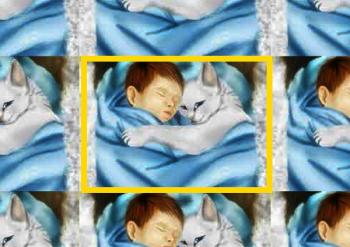 Киця Сон Оберігає