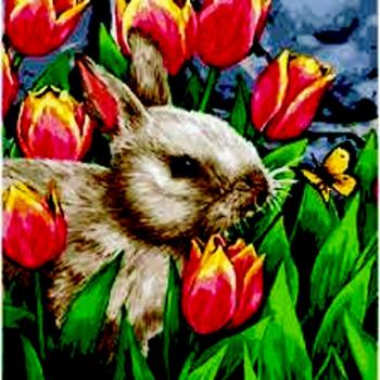 Заєць - Гульвіса