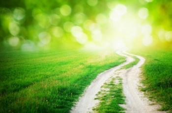 Траєкторія руху. Шлях. Переміщення