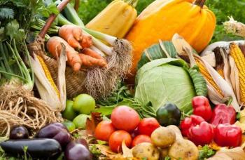 Віршики з городу