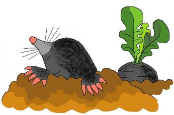 Казка про невгамовного крота