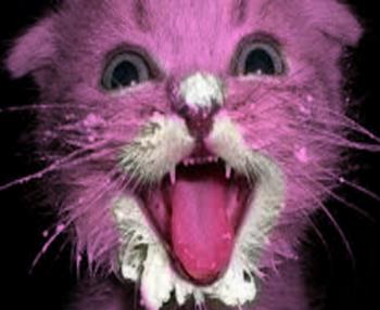 Рожева Киця