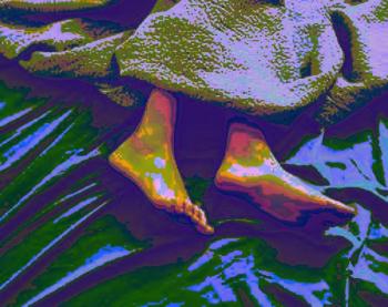 Из Командировки...