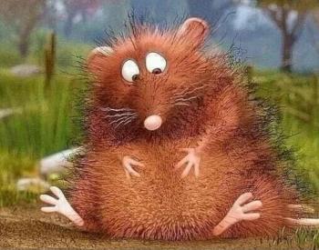 Пісенька рудої нориці