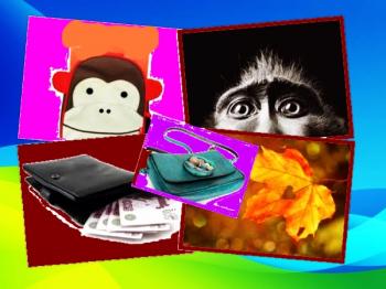 Обіззяна без кишені...