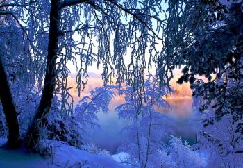 Вітер зимовий