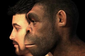 Не озвіріймо!