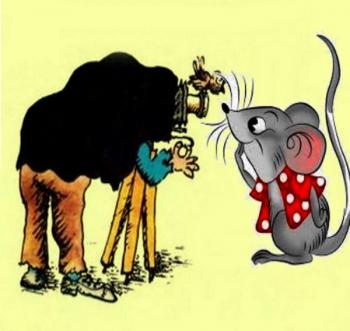 Фотосессия