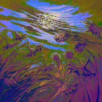 Ловушки Беды