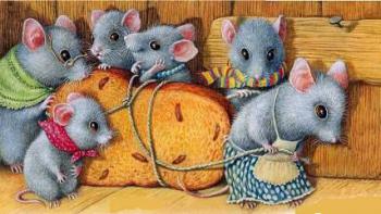 Поки спав ледачий кіт