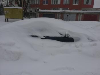 Покинута красуня