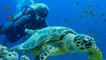 Гідростатичний тиск