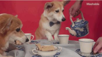 Гарний День народження