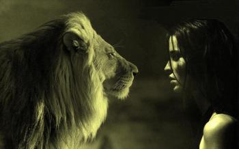 Люблю твою зиму